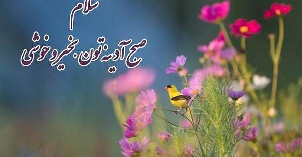 عکس استوری برای روز جمعه