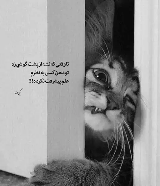 عکس تیکه دار خفن برای استوری