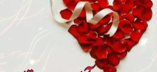 عکس استوری تولد همسر اسفند ماهی