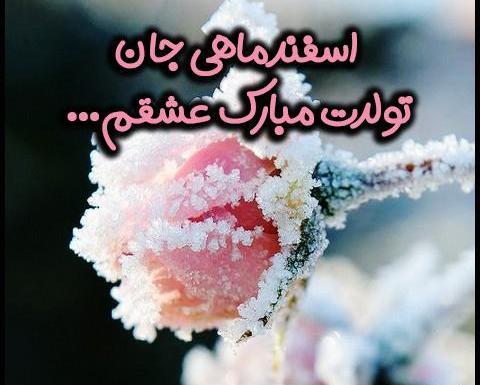 عکس استوری تولد همسر اسفند ماهی
