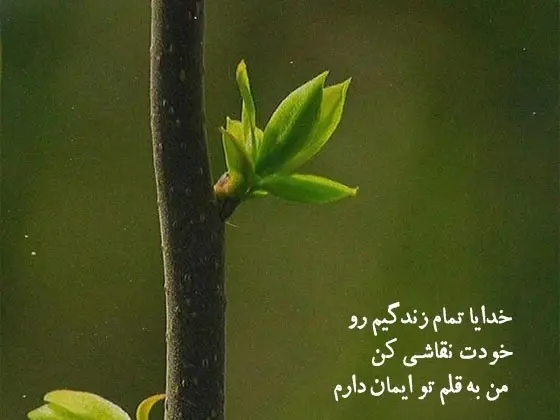 عکس استوری ارامش دهنده