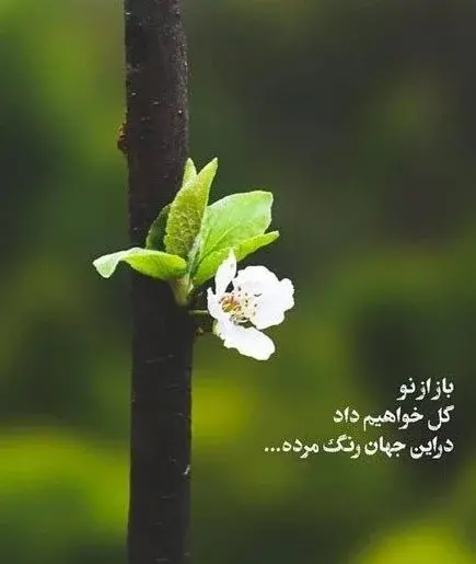 متن برای عکس استوری انگیزشی