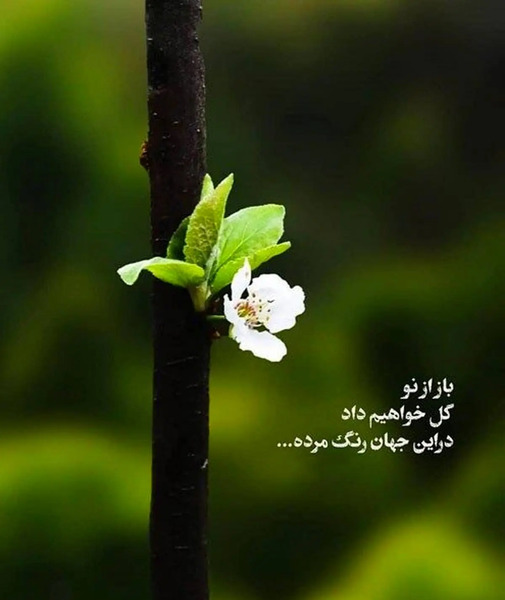 عکس نوشته استوری انگیزشی