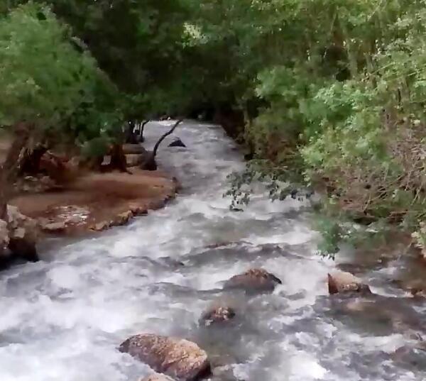 عکس هایی از پیرغار