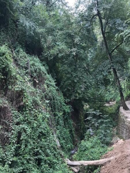 عکس کبودوال استان گلستان