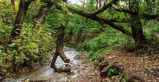 عکس کبودوال استان گلستان