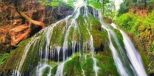 عکس از کبودوال گلستان