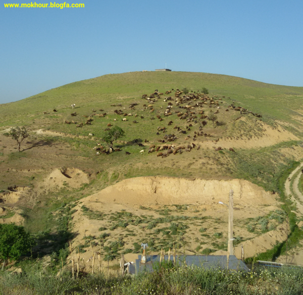 عکس روستای کبودراهنگ