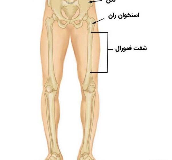 عکس فیک کبودی ران پا