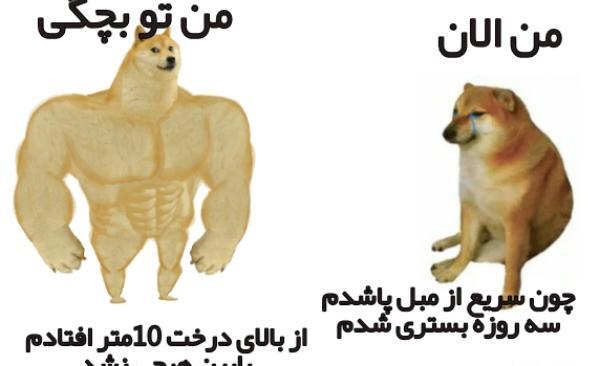 چاقی عکس بچگی راک