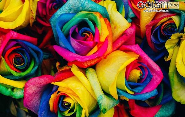 عکس گل های جادویی