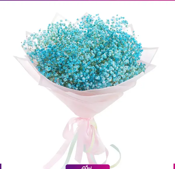 عکس گل آبی فیروزه ای