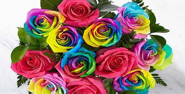 عکس گل آبی فیروزه ای