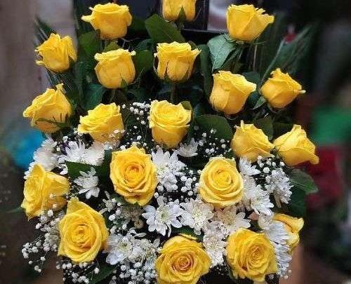 عکس گل آبی فیروزه ای