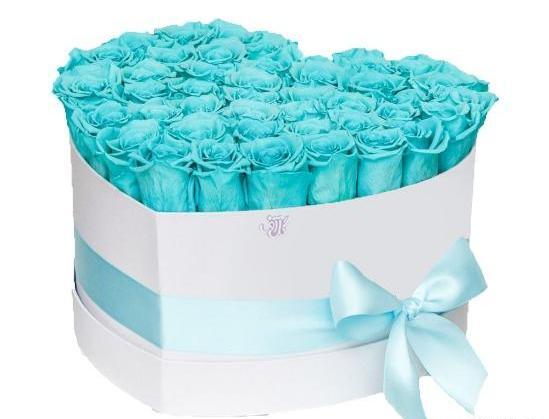 عکس گل آبی فیروزه ای
