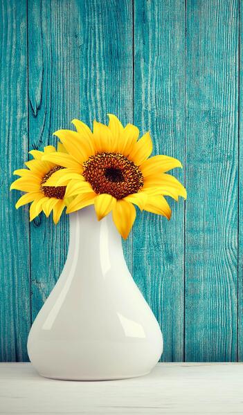 عکس گل آبی فیروزه ای