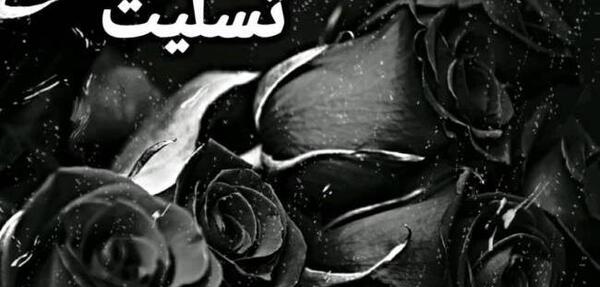 عکس گل مشکی تسلیت