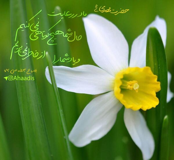 عکس اللهم عجل لولیک الفرج زیبا