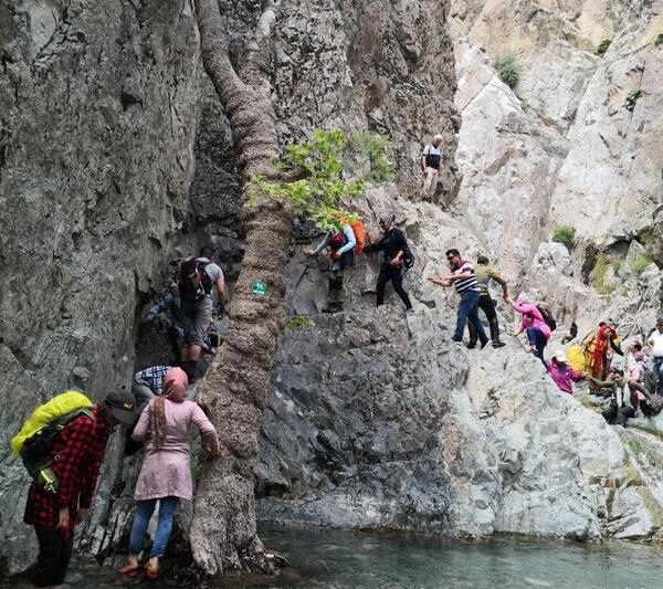 عکس از طبیعت دلفارد جیرفت