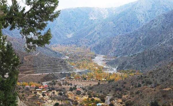 عکس از طبیعت دلفارد جیرفت