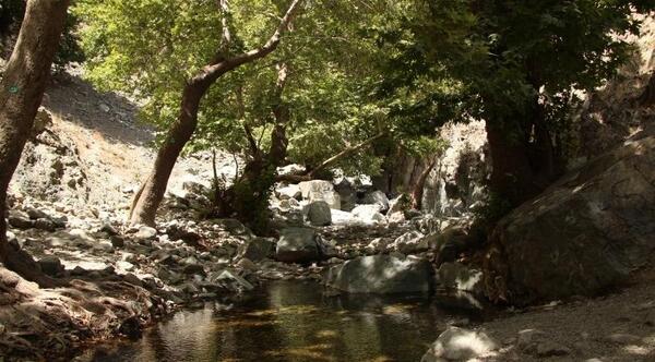 عکس از طبیعت دلفارد جیرفت
