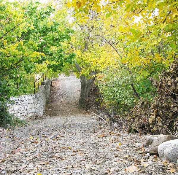 عکس از طبیعت دلفارد جیرفت