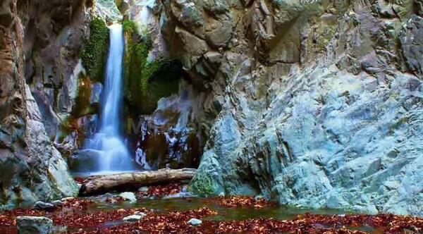 عکس از طبیعت دلفارد جیرفت