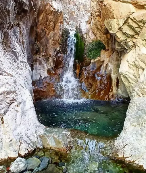 عکس از طبیعت دلفارد جیرفت