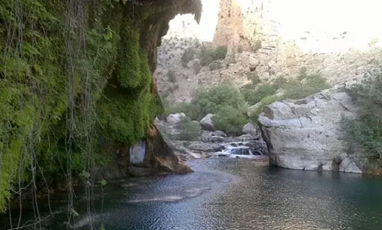 عکس از طبیعت دلفارد جیرفت