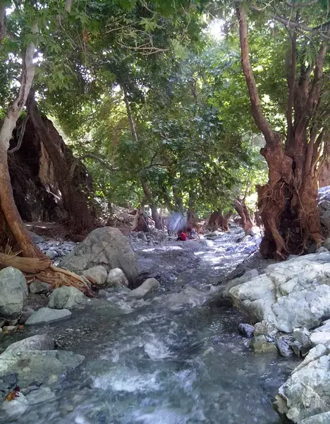 عکس از طبیعت دلفارد جیرفت