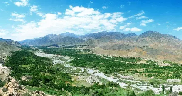 عکس از طبیعت دلفارد جیرفت