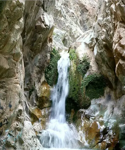 عکس از طبیعت دلفارد جیرفت