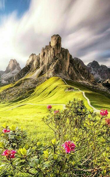 عکس های طبیعت فول اچ دی