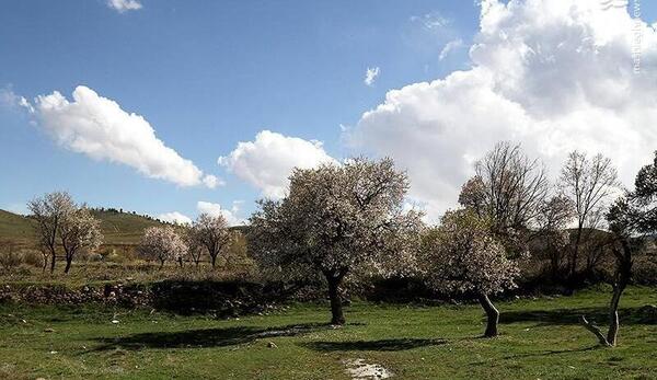 عکس های طبیعت همدان