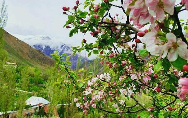 عکس فصل بهار تهران