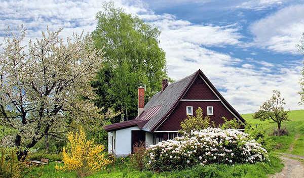عکس زیبا از بهار برای پروفایل