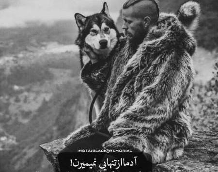 عکس پروفایل پسرانه گرگ وحشی