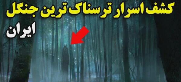 عکس جنگل ترسناک مشهد