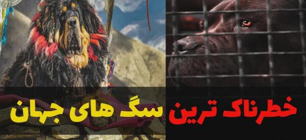 عکس سگ ترسناک و خفن