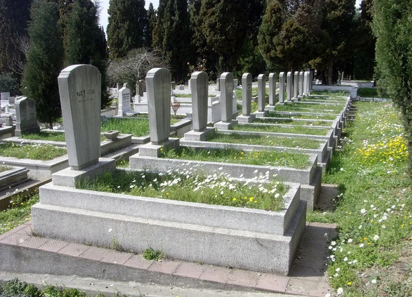 عکس های ترسناک قبرستان