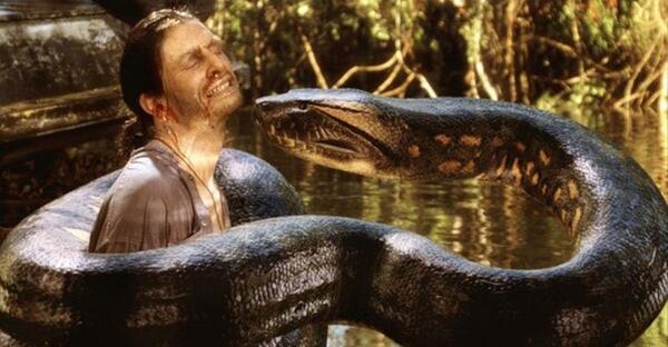 عکس مار ترسناک وحشی