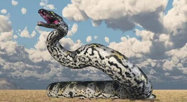 عکس مار ترسناک وحشی
