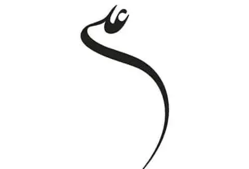 عکس طرح تاتو شمشیر حضرت علی
