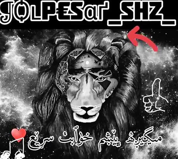 قشنگ ترین عکس تتلو