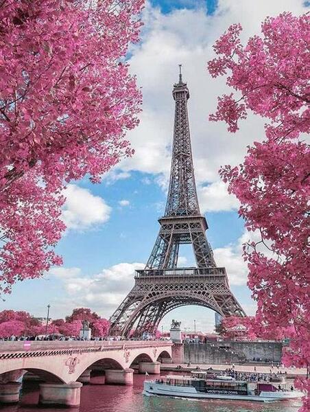 عکس برای تصویر زمینه واتساپ دخترانه