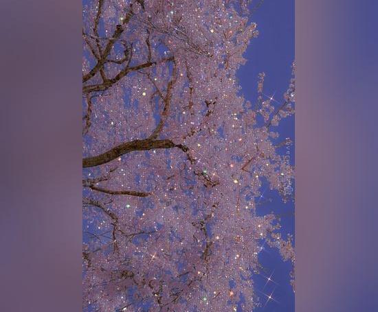 عکس تصویر زمینه جدید ۲۰۲۳