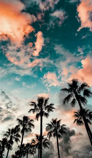 عکس برای تصویر زمینه چت روم