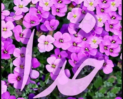 عکس تصویر زمینه خدایی
