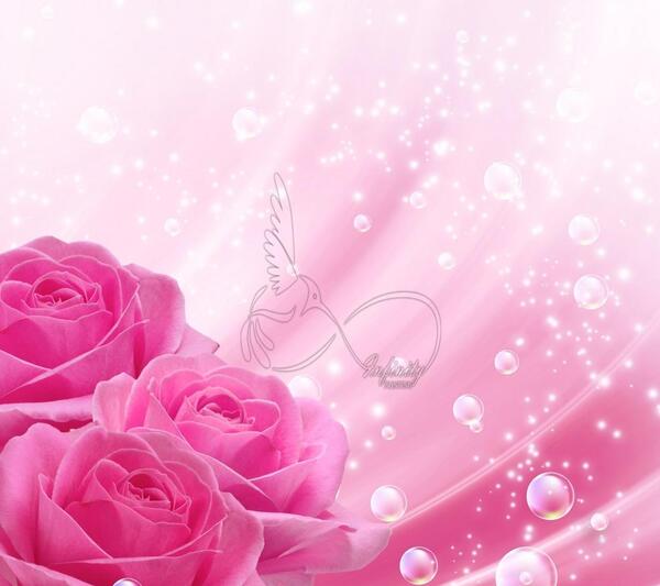 عکس تصویر زمینه سفید و صورتی