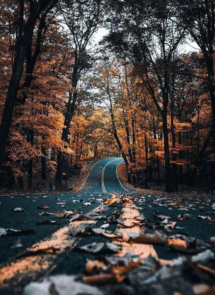عکس های خیلی شیک برای تصویر زمینه